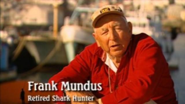 Shark Hunter - Chasing the Great White