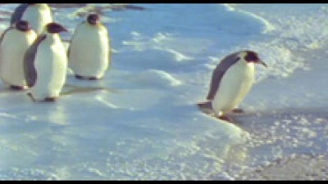 Faszination Erde (34): Patagonien – Leben am Limit