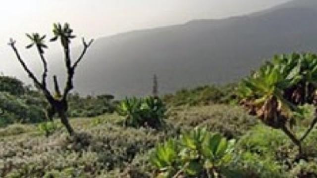 Faszination Erde (32): Afrika – Mitten ins Herz