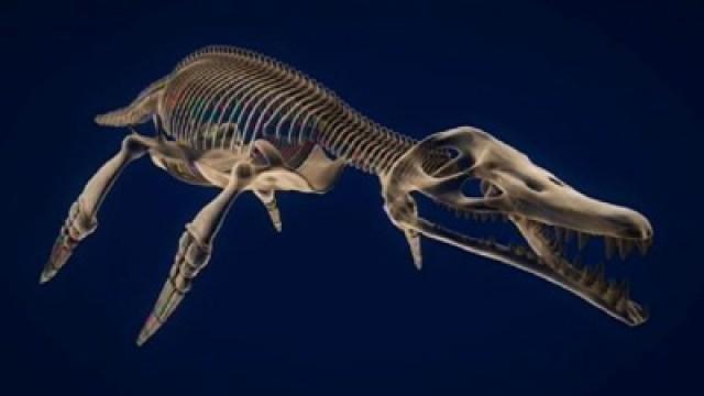 Das Monster von Spitzbergen