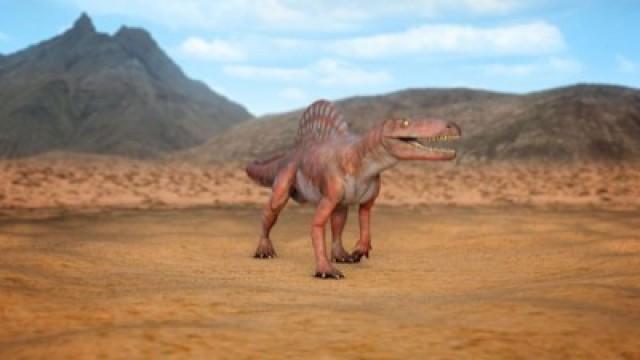 Expedition Deutschland – Eine Zeitreise durch 500 Millionen Jahre (1)