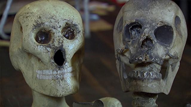 Creepiest Collections