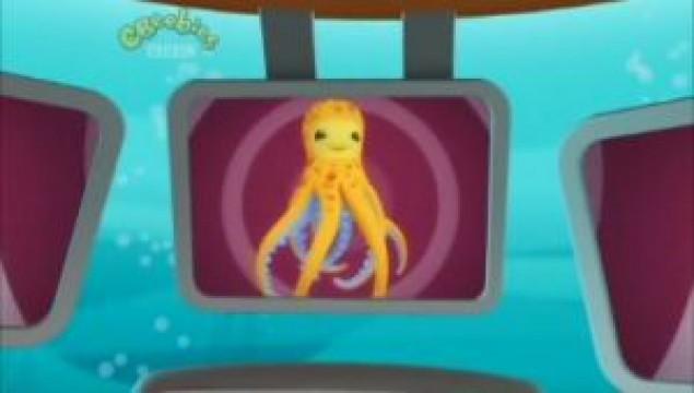 Creature Reports: Octopus