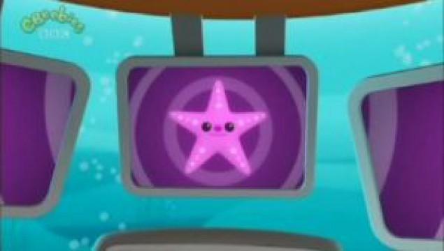 Creature Reports: Sea Star (Starfish)