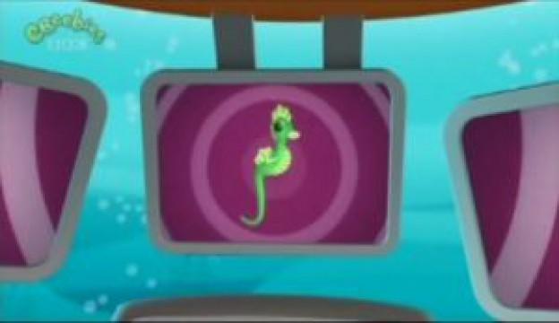 Creature Reports: The Seahorse