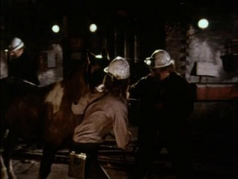 The Innocents