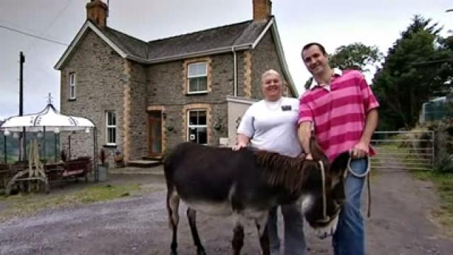 Happy Donkey Hill, Wales