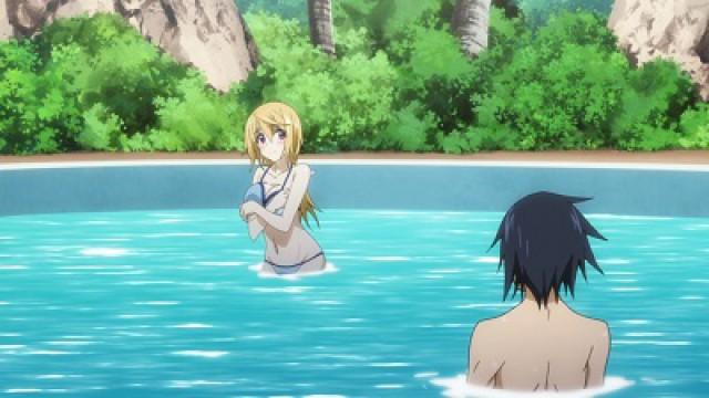 IS: Infinite Stratos 2 Long Vacation Edition - The Memories of One Summer