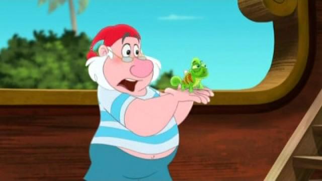 Mr Smee's Pet