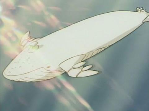 The white whale transforms