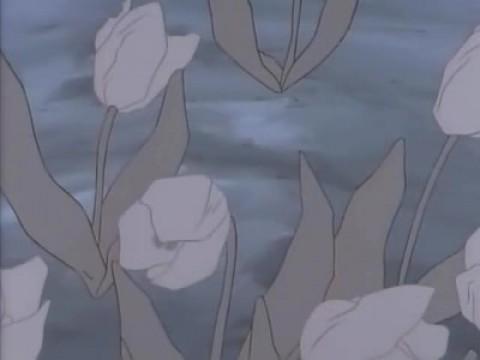 Flowers, Bloom Once Again