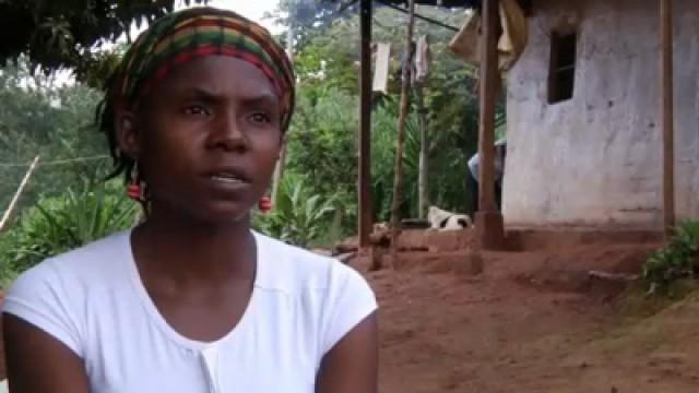 The War We Are Living