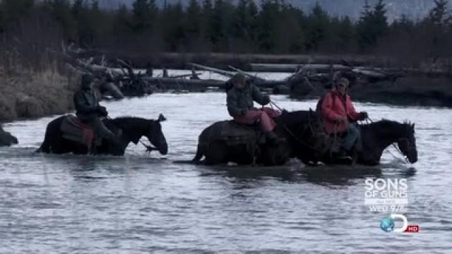 Cattle Drive