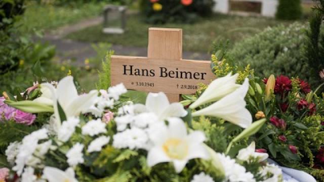 Gute Reise, Hans