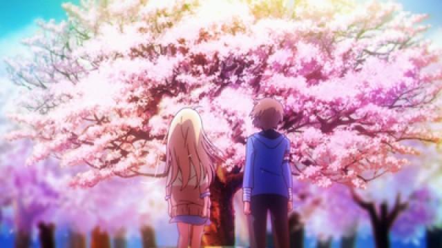 Welcome to Sakurasou