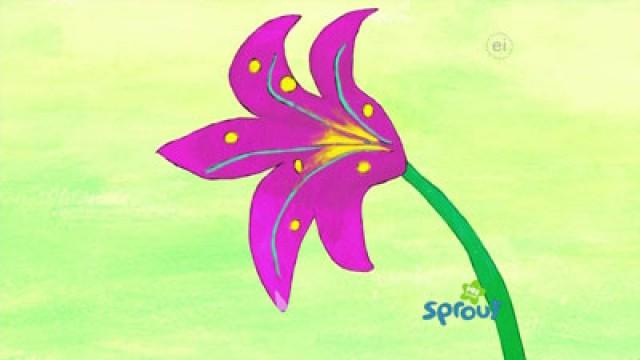 Flower Power