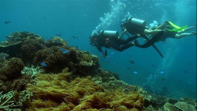 La grande barrière de corail - Épisode 1:  Miracle de la nature