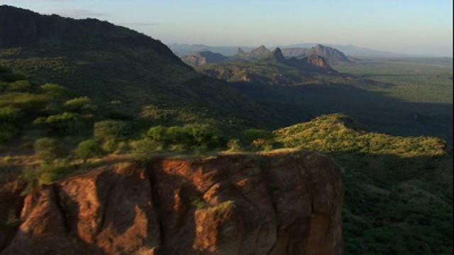 L'Afrique (2) La savane