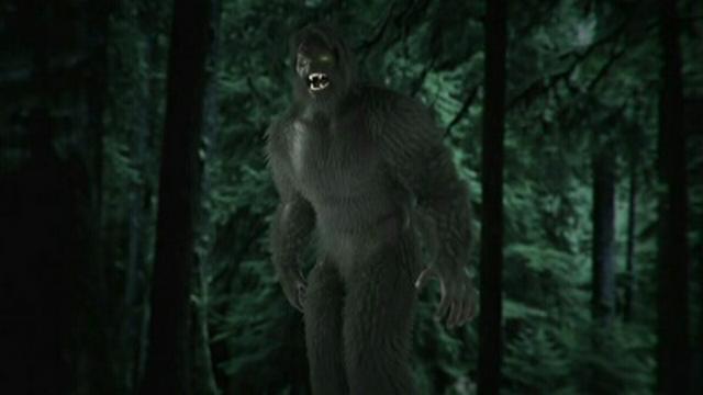 Bigfoot of Central Kentucky