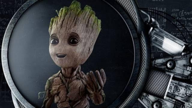 GROOT'S BIOLOGY