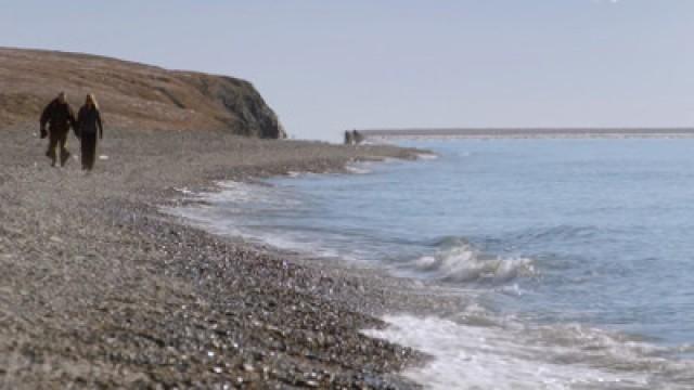 Wrangel Island