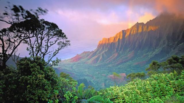 Hawaï, l'autre rêve américain