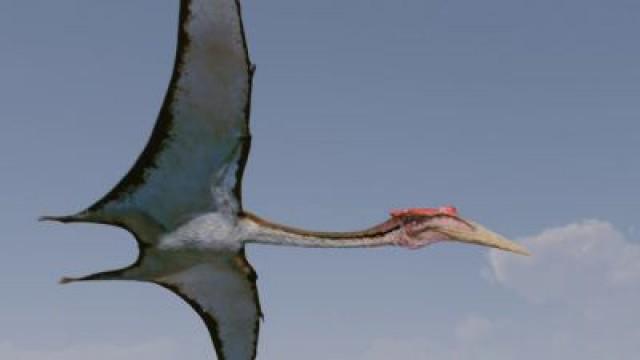 The Making of David Attenborough's Conquest of the Skies