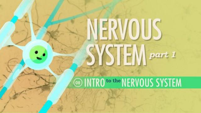 The Nervous System, Part 1