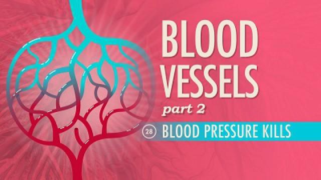 Blood Vessels, Part 2 - Blood Pressure Kills