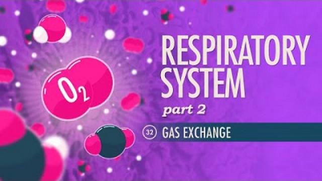 Respiratory System, Part 2 - Gas Exchange