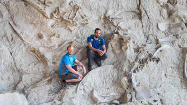 Dinosaur National Monument