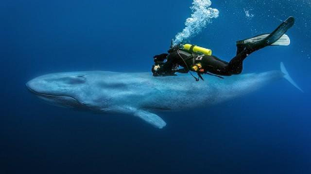 Hunger at Sea (Oceans)