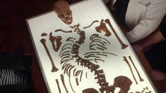 Richard III Revealed