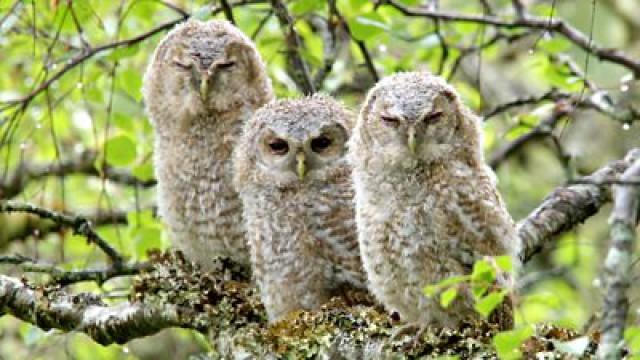 Spring: Season of Extremes