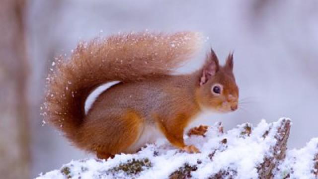 Autumn and Winter: Against All Odds