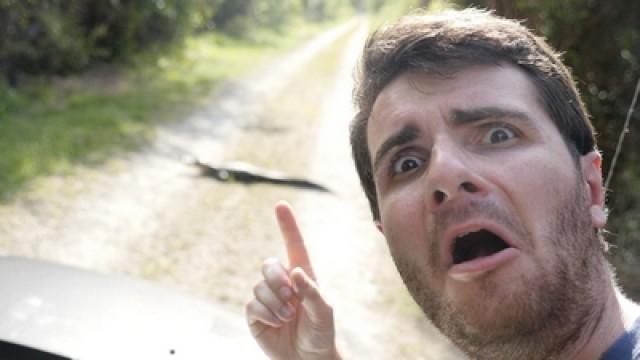 UN ALLIGATOR ME BLOQUE LA ROUTE ! (Vlog Floride)