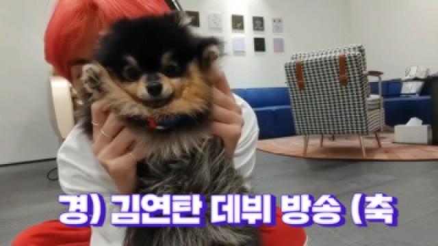 [BTS] 경) 김연탄 브이앱 데뷔 •̀ㅅ•́???? (축 (V&Jimin's V with his puppy)