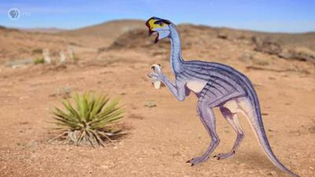 The (Ovi)Raptor That Paleontologists Got Wrong