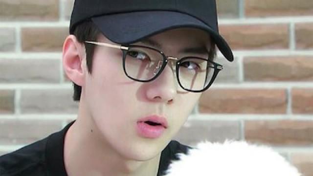 SEHUN's 'Please Take Care of My Puppy'