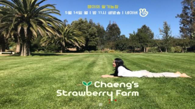 CHAEYOUNG'S STRAWBERRY FARM