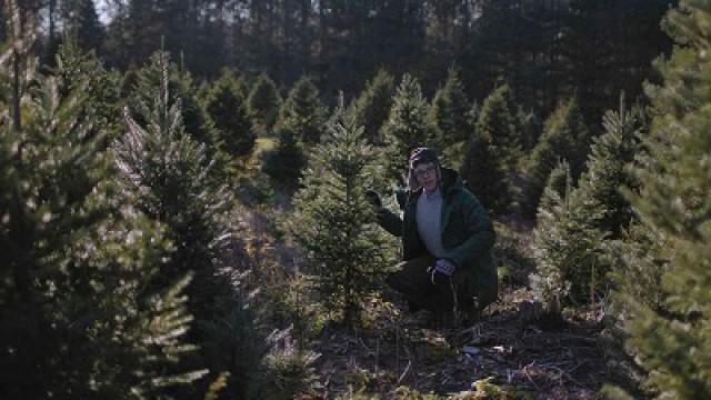 Joe Pera Helps You Find the Perfect Christmas Tree