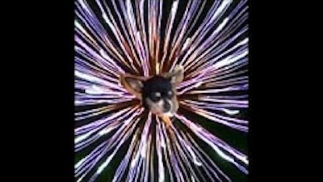 100th Video