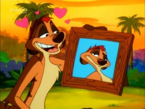 Timon in Love