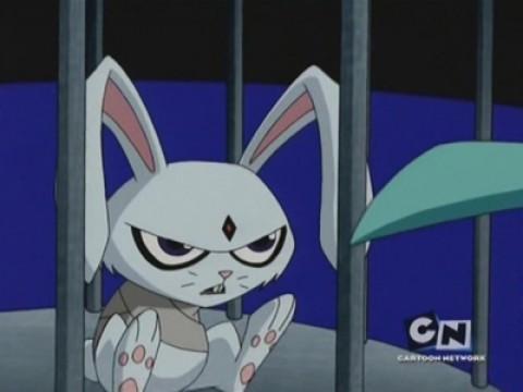 Bunny Raven... or ... How to Make a Titananimal Disappear