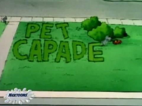 Doug's Pet Capades