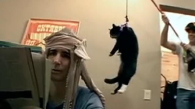 Who Can Wear a Dead Octopus on Their Head the Longest?