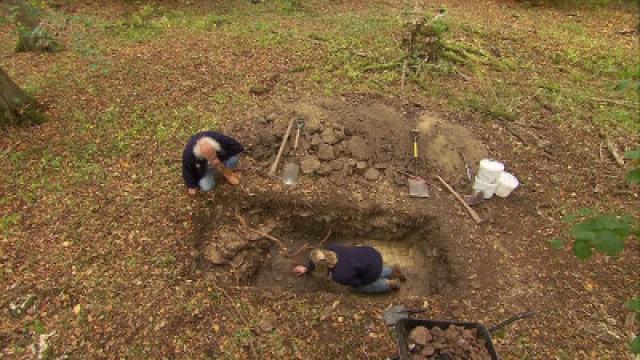 Bedford, Purlieus Wood, Cambridgeshire - Rooting For The Romans