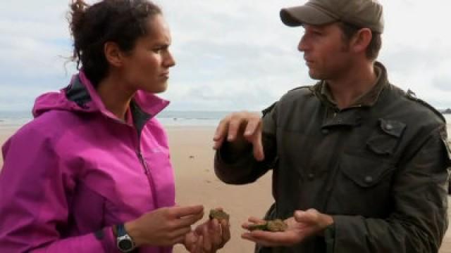 Gateholm Island, Pembrokeshire - Dig by Wire