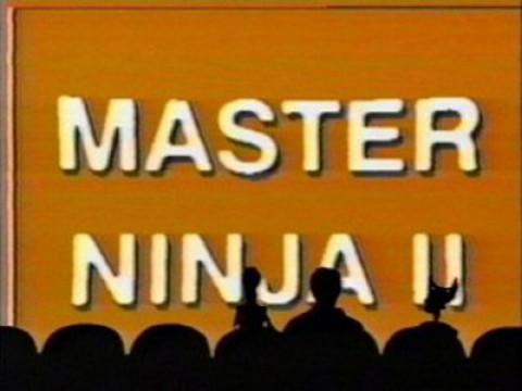 Master Ninja II