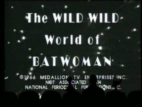 The Wild World of Batwoman